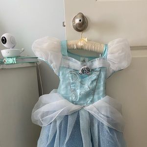 Disney Cinderella costume from Disney World